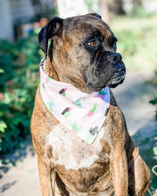Cherry Blossom Pet Bandana